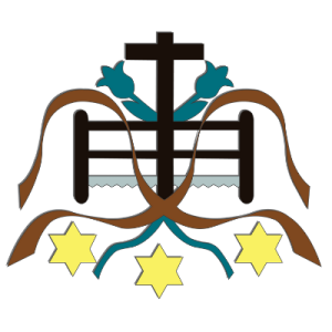 Aula Virtual Regina Carmeli